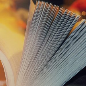 ¿Cómo generar una copia de seguridad de un curso en Moodle?