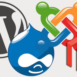 ¿Cuál CMS usar para la página Web de mi empresa: Wordpress, Joomla o Drupal?